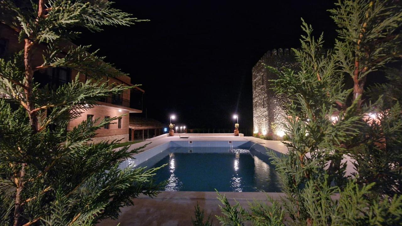 Giorgi Ushikishvilis Chateau-Marani Akhmeta Exterior photo