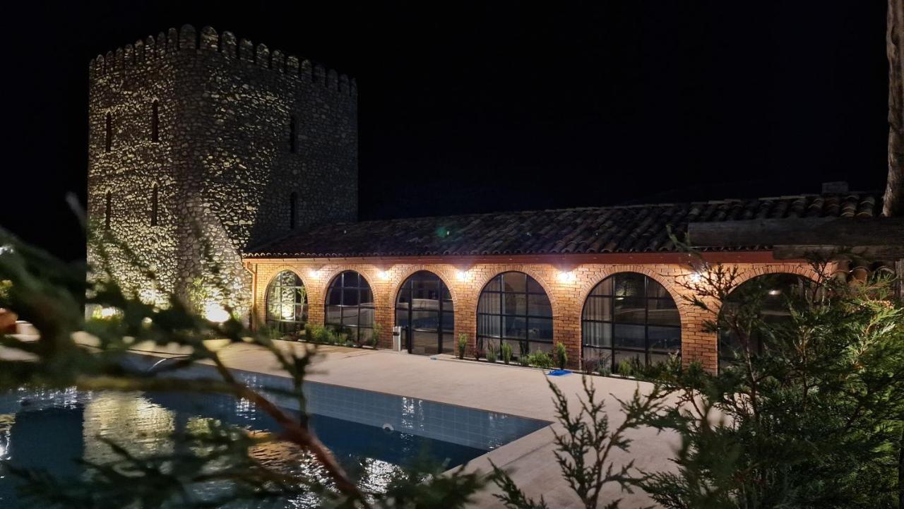 Giorgi Ushikishvilis Chateau-Marani Akhmeta Exterior photo