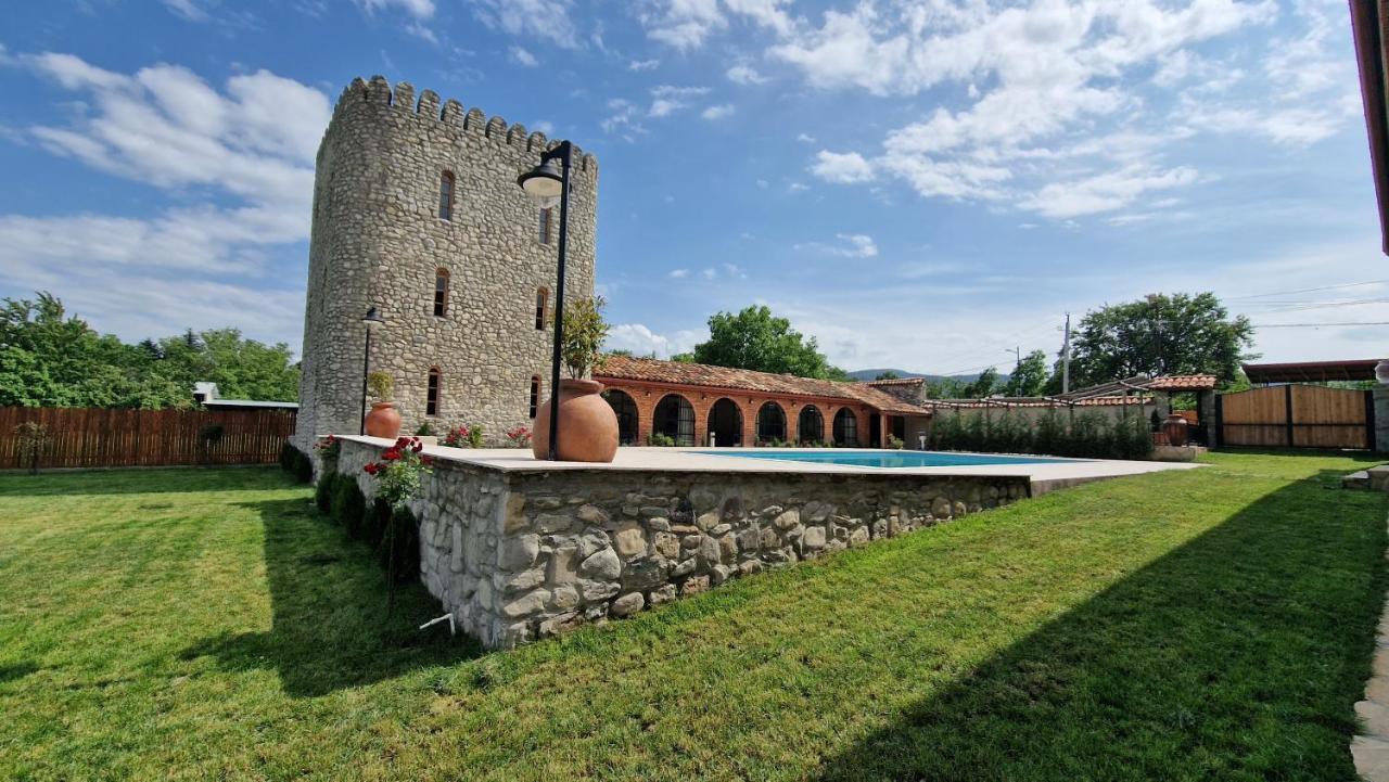Giorgi Ushikishvilis Chateau-Marani Akhmeta Exterior photo