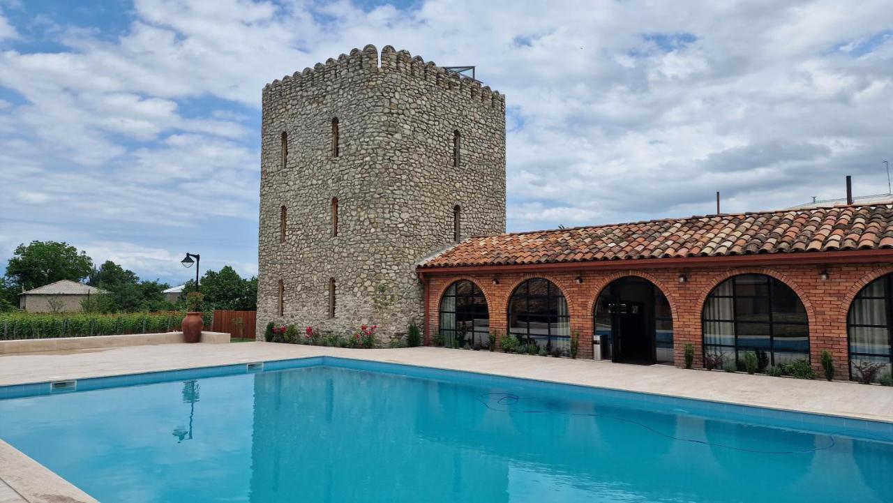 Giorgi Ushikishvilis Chateau-Marani Akhmeta Exterior photo