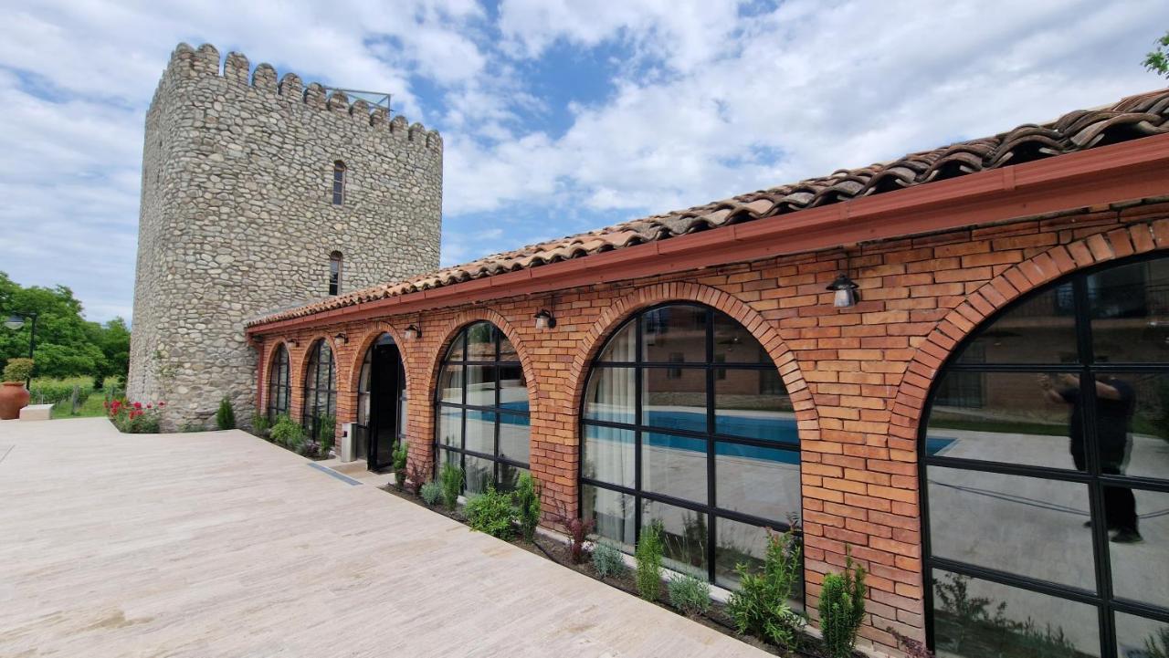 Giorgi Ushikishvilis Chateau-Marani Akhmeta Exterior photo