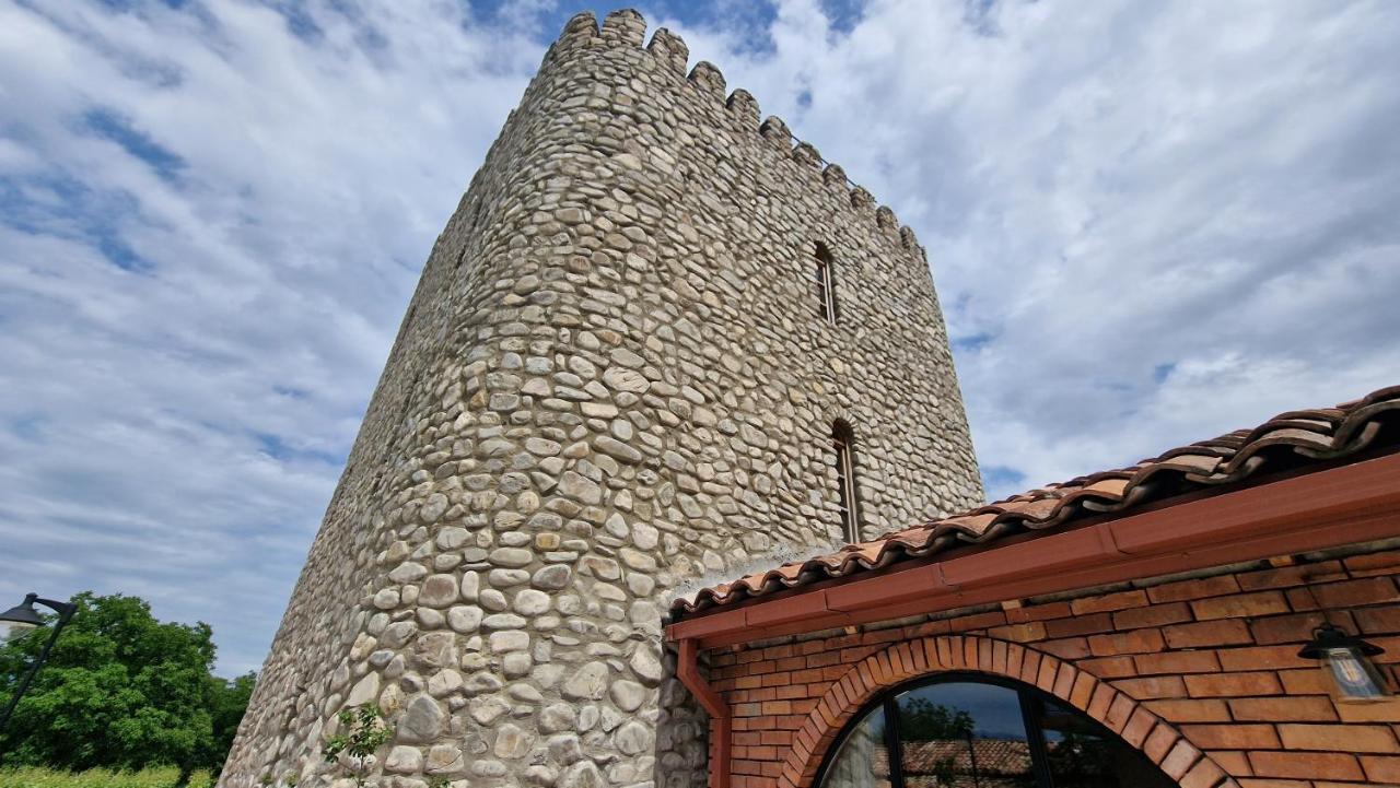 Giorgi Ushikishvilis Chateau-Marani Akhmeta Exterior photo