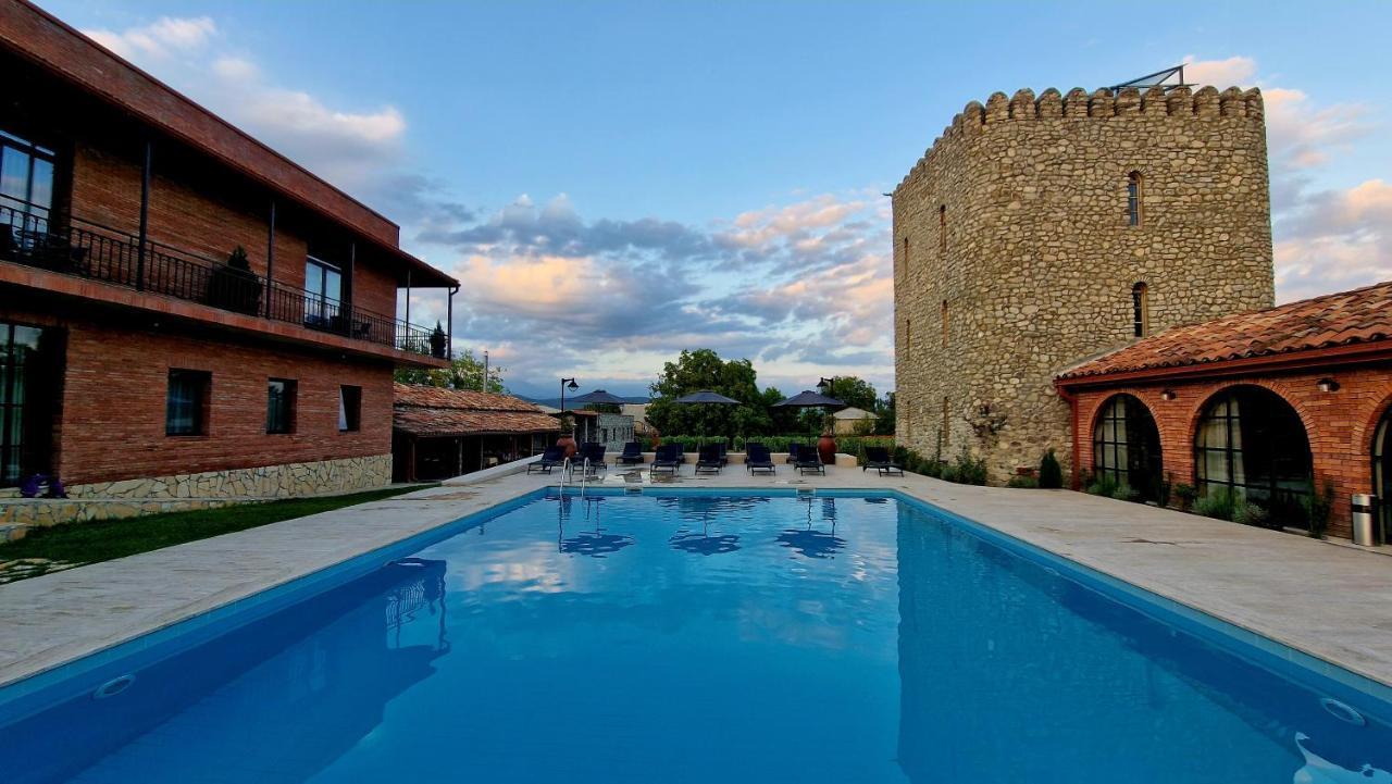 Giorgi Ushikishvilis Chateau-Marani Akhmeta Exterior photo